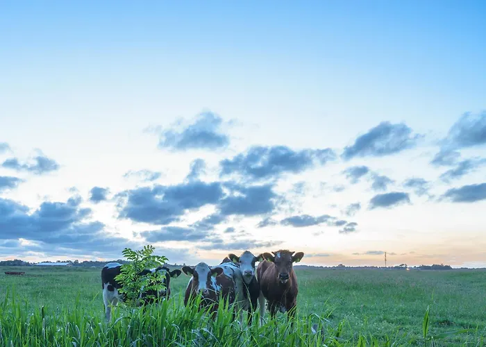 Appartement Hw App 8 Welt